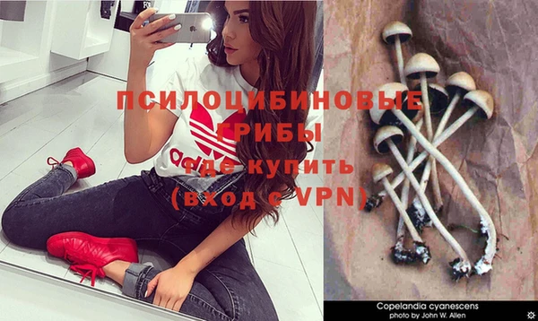 тгк Абдулино