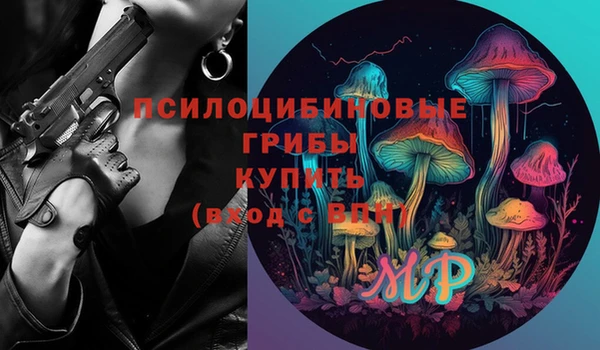 прущая мука Абаза